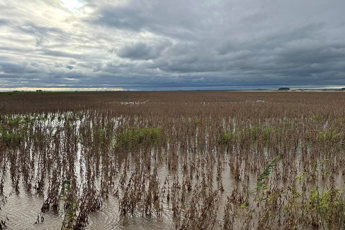 Miles de personas desplazadas por inundaciones en Uruguay