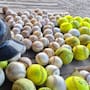 De las comunidades del Valle de Mexicali al alto rendimiento: buscan rescatar talentos con apoyo deportivo