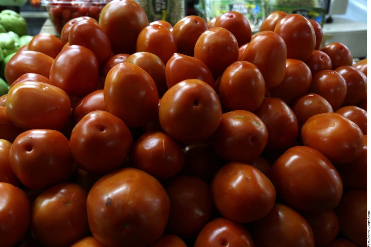 Acusa Florida de 'crisis existencial' las importaciones de tomate mexicano