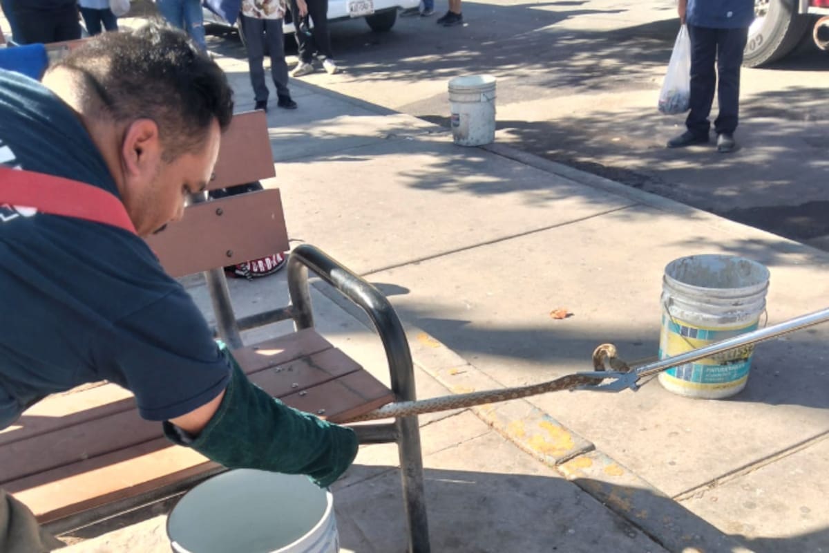 Registran presencia de serpientes en zona urbana