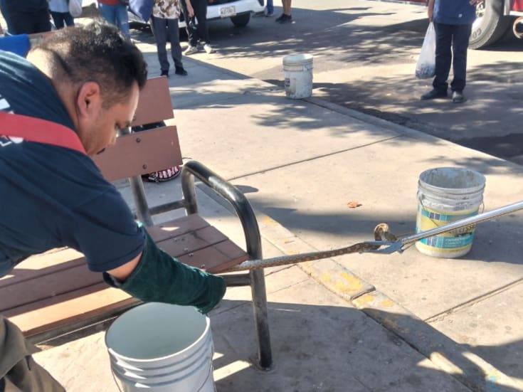 Registran presencia de serpientes en zona urbana