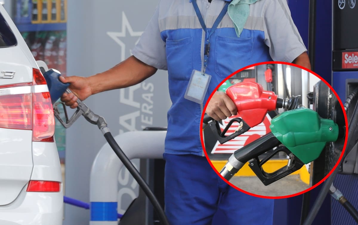 La SHCP informó que, del 15 al 21 de marzo de 2025, no se aplicarán estímulos fiscales a las gasolinas Magna, Premium ni al diésel.