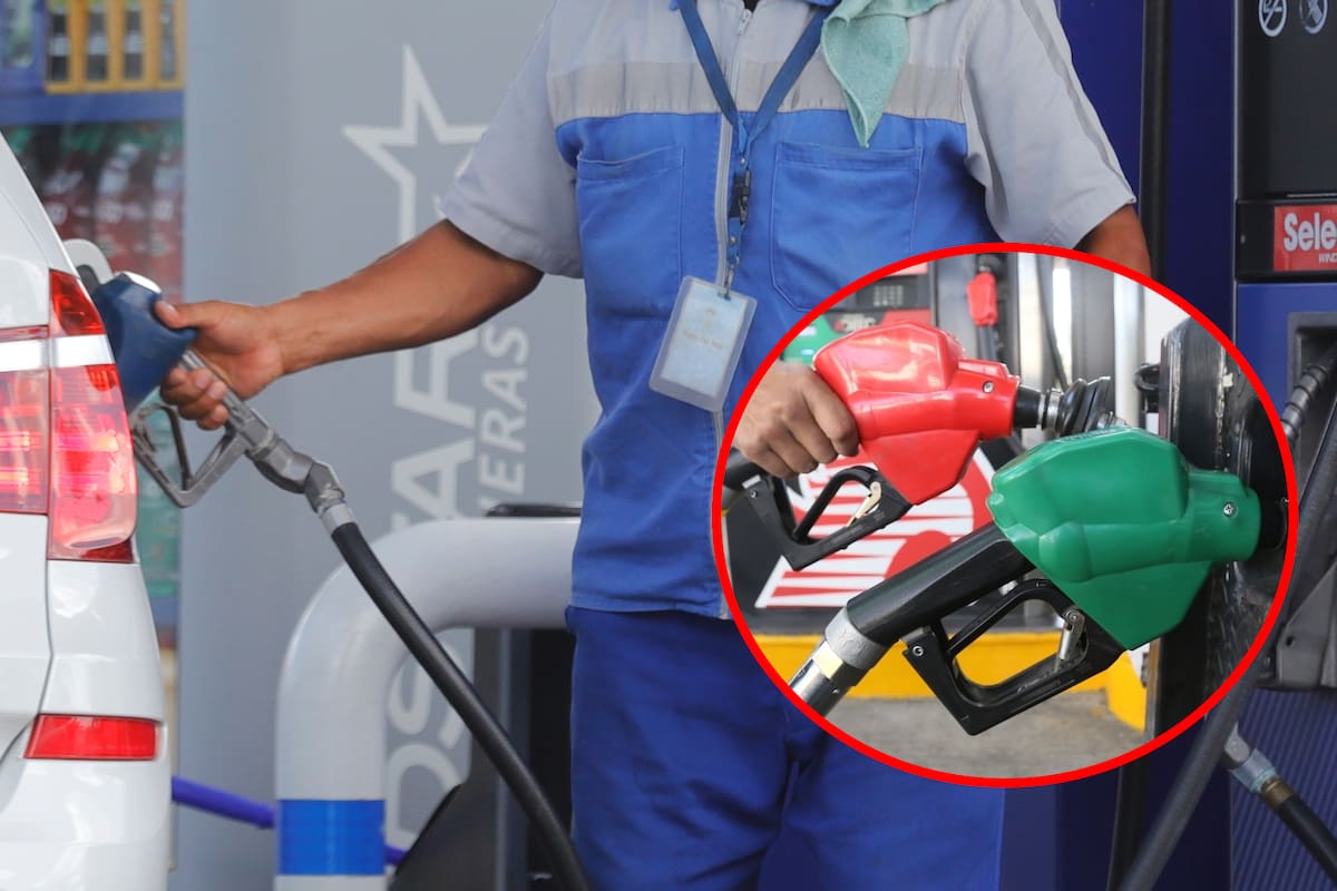 Gasolinas Premium, Magna y Diésel no tendrán estímulo fiscal en México del 15 al 21 de marzo de 2025