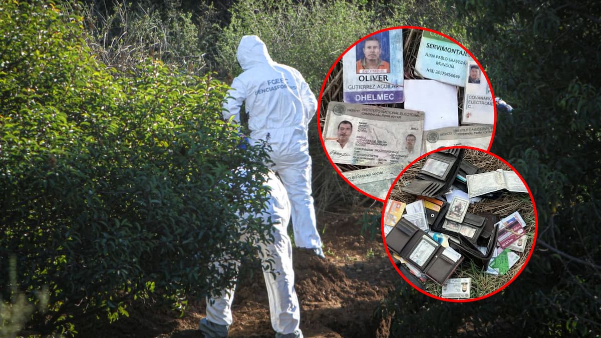 Tras despojos de grupos armados descubren credenciales y tarjetas bancarias abandonadas de al menos 14 persones en carretera internacional que conduce a un rancho en Mazatlán