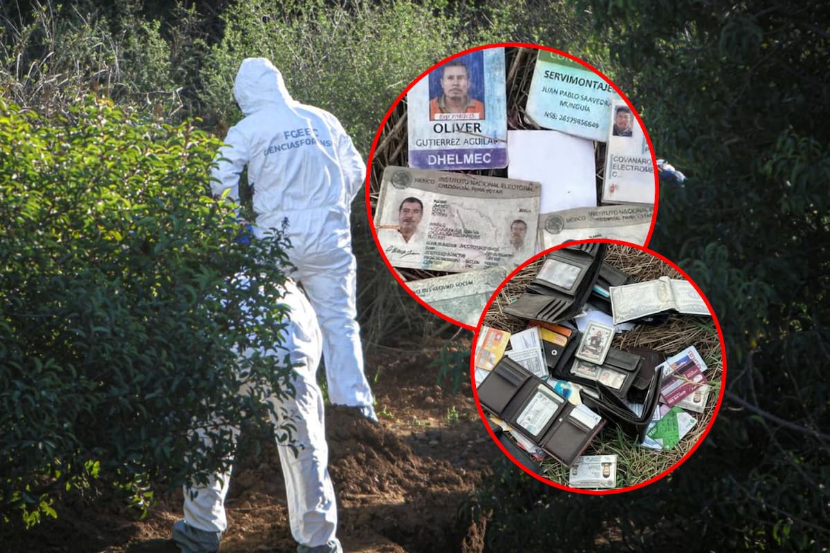 Tras despojos de grupos armados descubren credenciales y tarjetas bancarias abandonadas de al menos 14 persones en carretera internacional que conduce a un rancho en Mazatlán