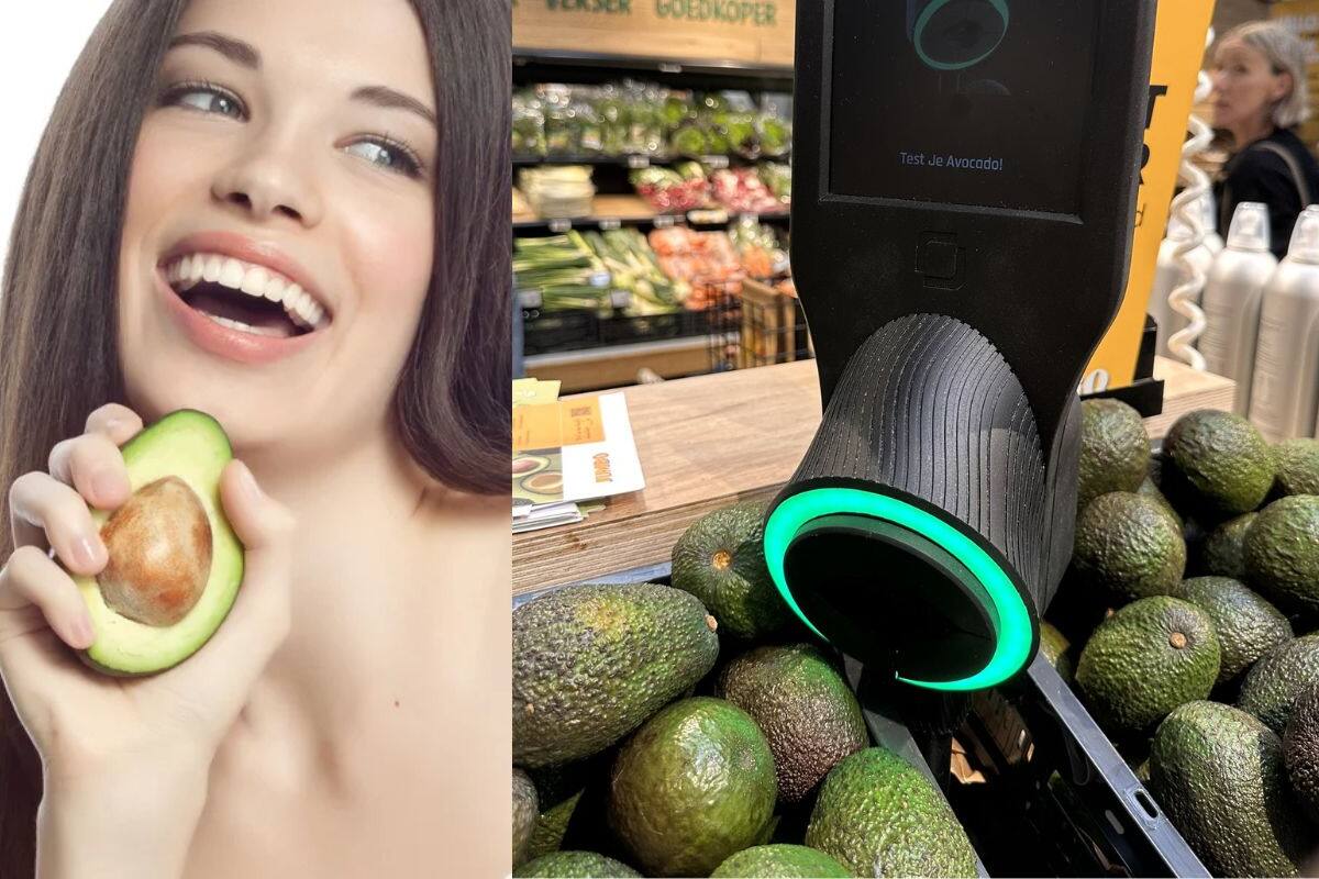 VIRAL: Humillan con burlas a máquina europea que te dice si un aguacate está maduro