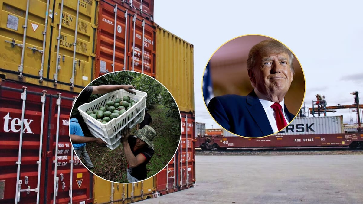 Aranceles de Trump a México "los acabarán pagando los consumidores", alertan empresarios en Estados Unidos. Foto: Especial (EFE/AP/ElUniversal)