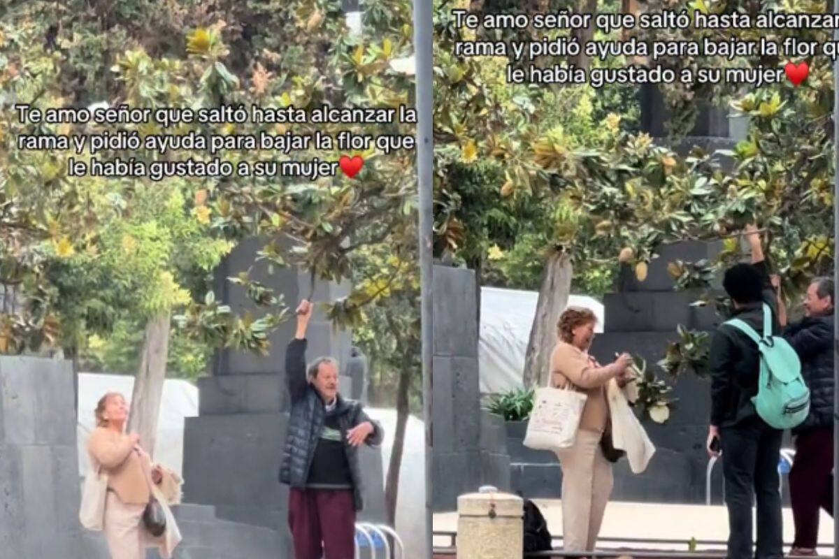 Hombre salta para alcanzar una rama y pide ayuda para bajar la flor que le gustó a su mujer