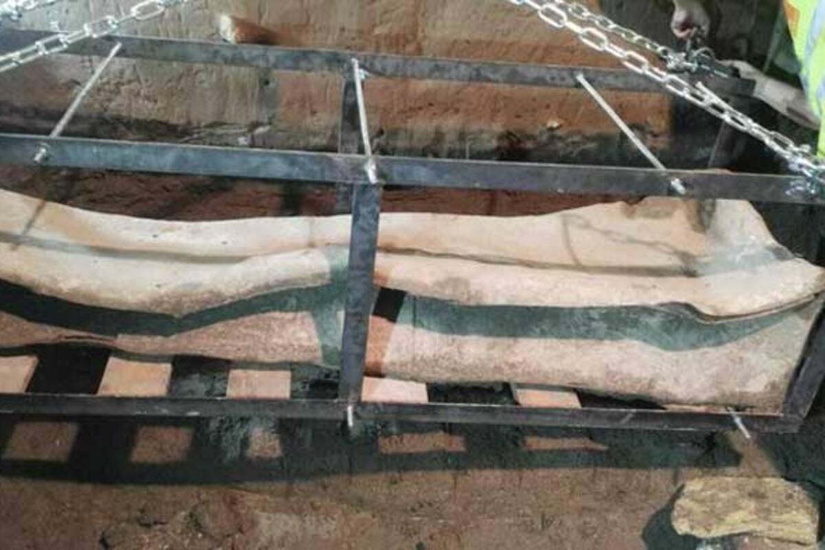 Descubren misterioso sarcófago de plomo de la época romana