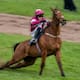Caballo de 7 años gana carrera en Inglaterra, pero es sacrificado tras sufrir una lesión incurable en el último salto