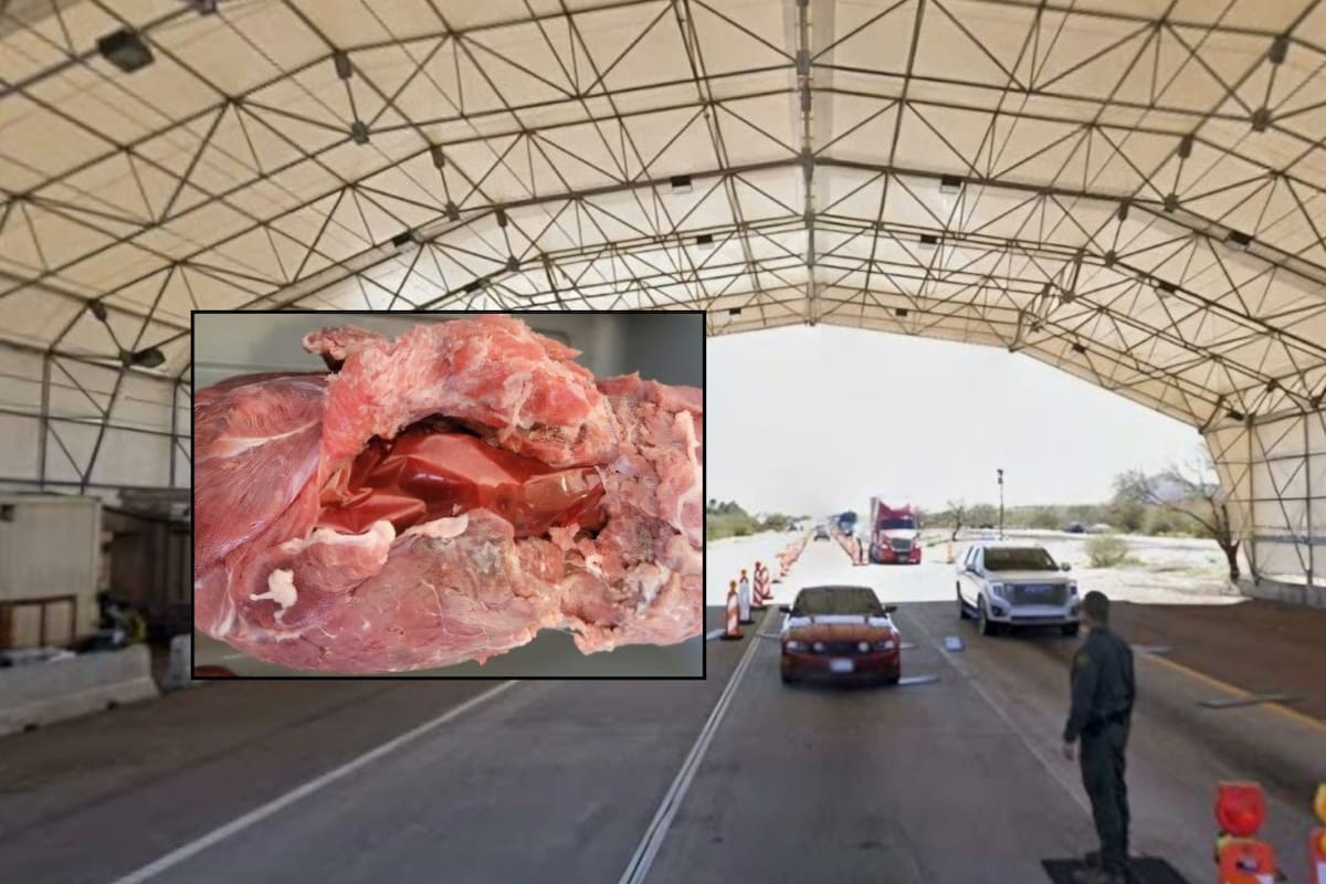 CBP informa sobre otra incautación de metanfetamina oculta en carne de res