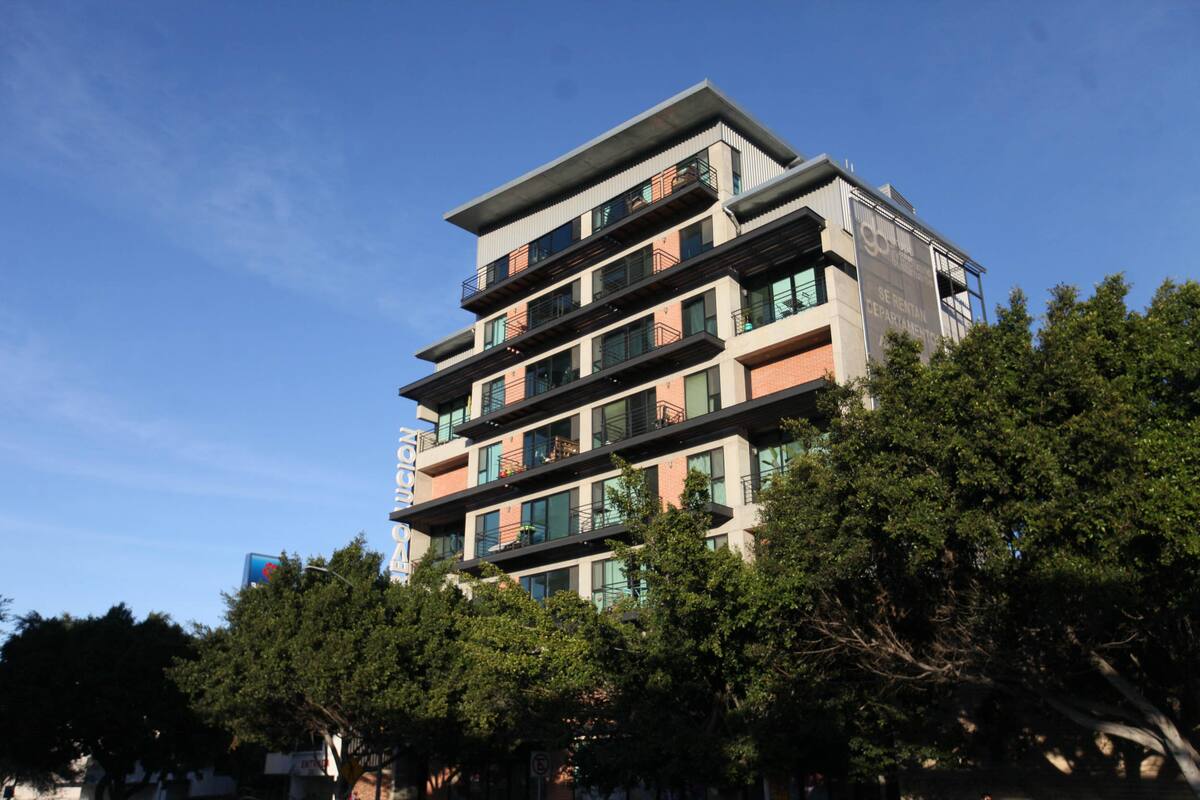 Verticalidad encarece predios en Zona Centro