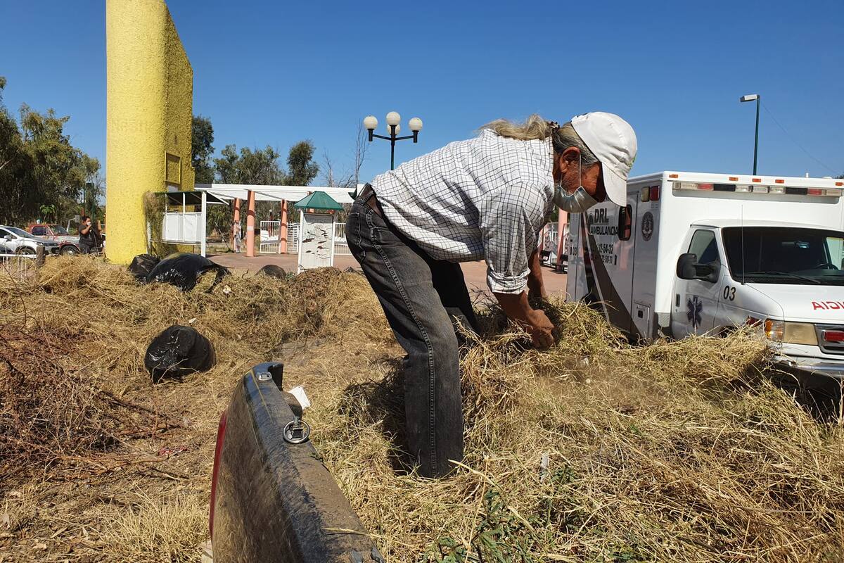 Hermosillenses limpian Parque La Sauceda; retiran más de 4 toneladas de zacate
