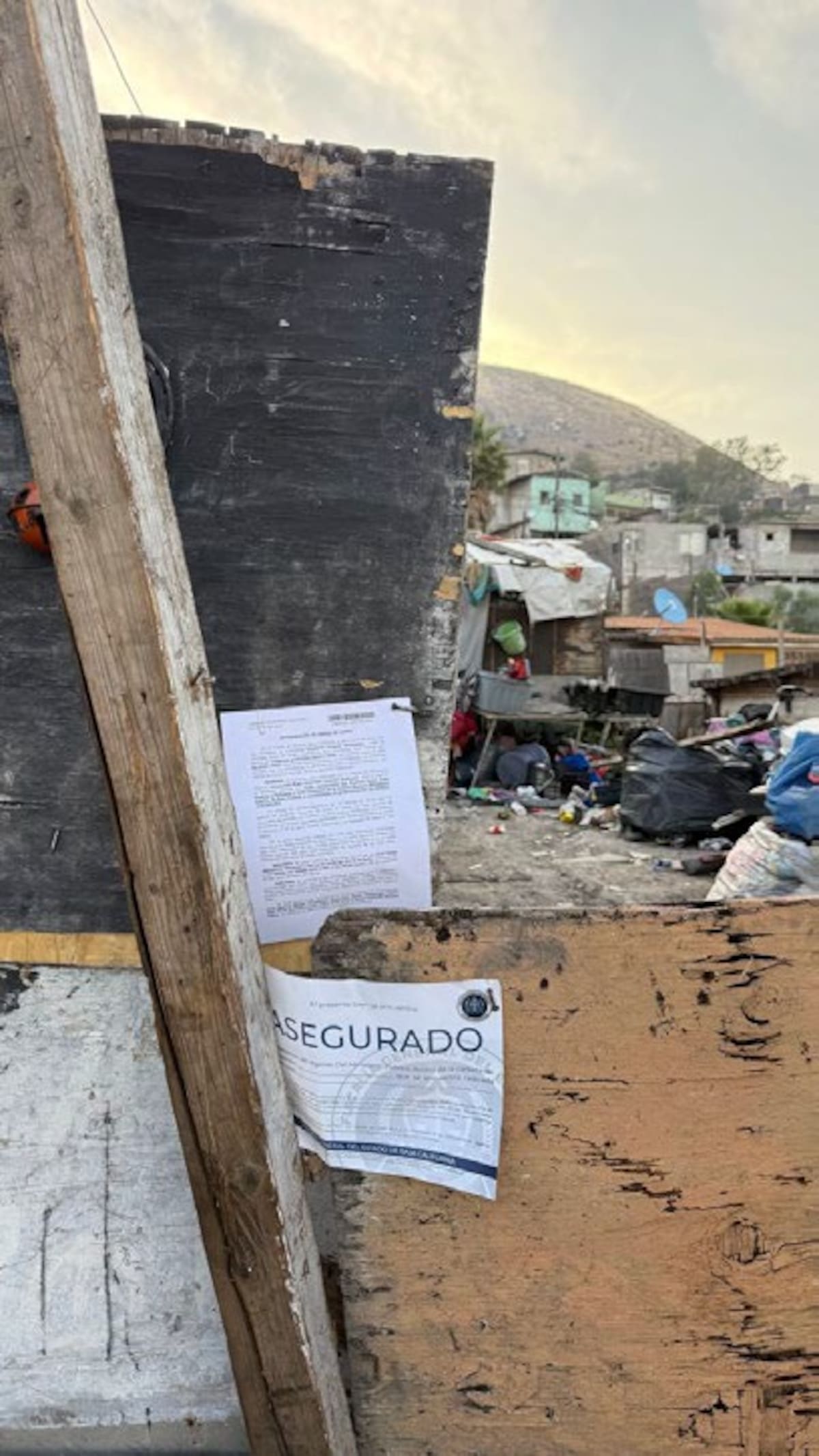 Foto: cortesía
