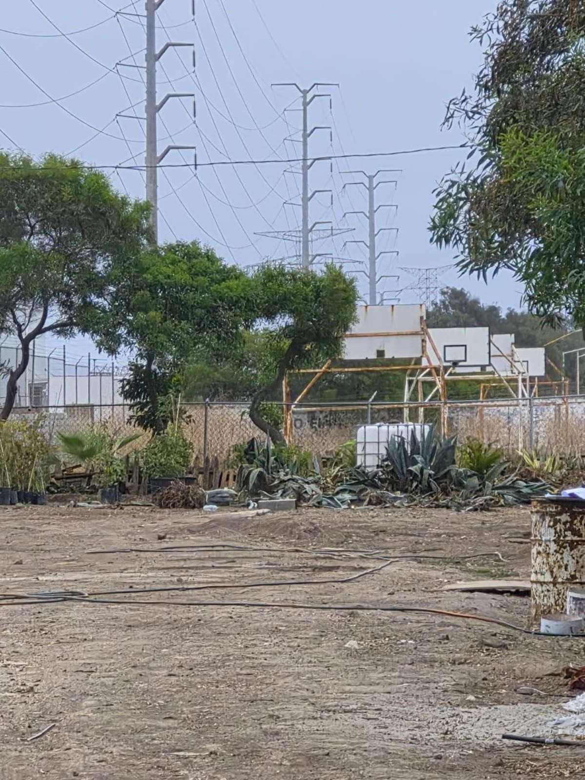 El espacio fue presentado como un proyecto clave para la producción de árboles y la reforestación de la ciudad, pero actualmente muestra signos de abandono, acumulación de basura y escasa vegetación. Foto: Carmen Gutiérrez.