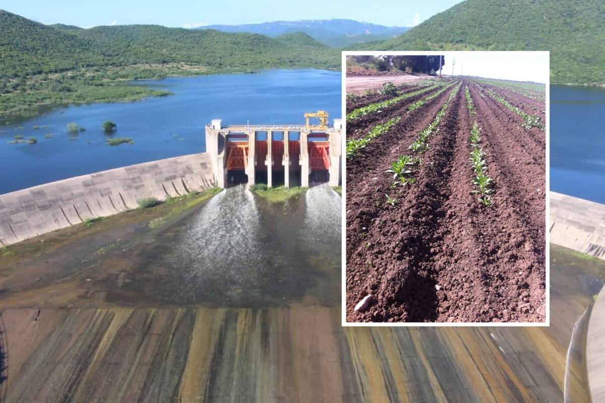 Inician extracciones a la presa “El Mocúzari”