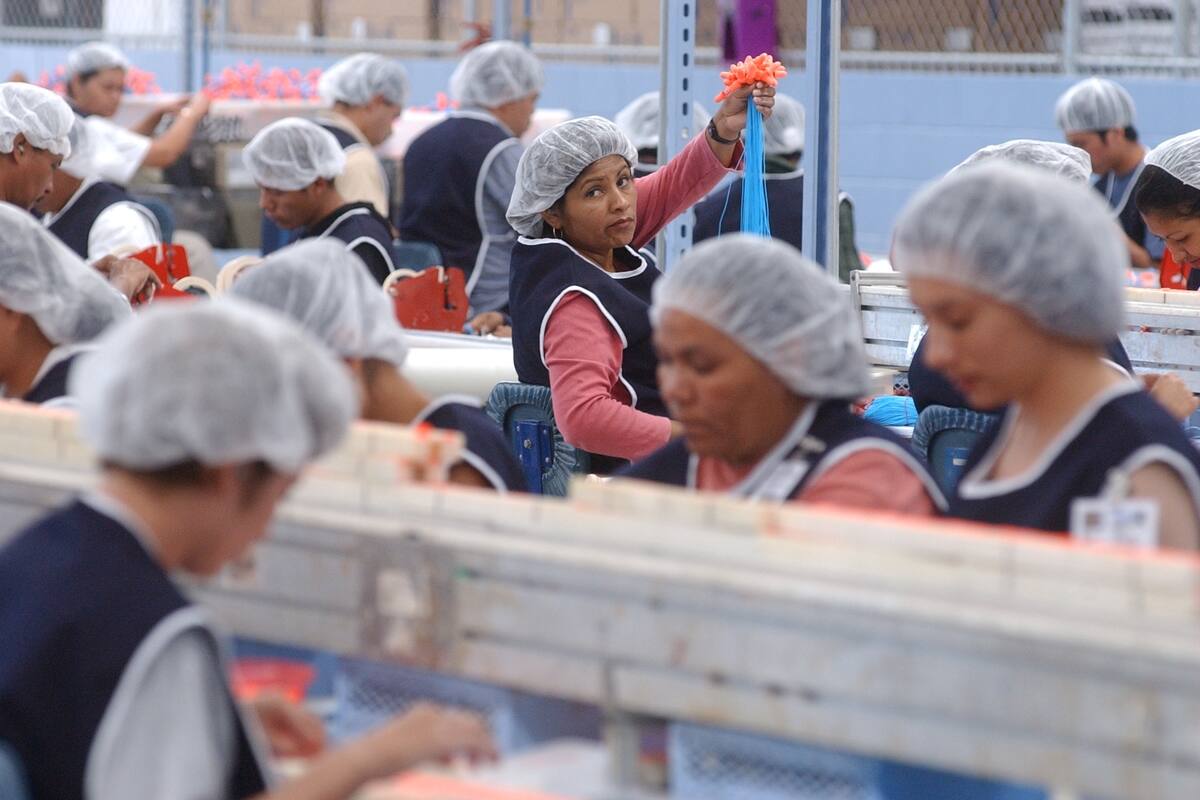 Prevén menor crecimiento en empleo en Noroeste de México