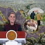 El envejecimiento de la población en México, con más adultos mayores y menos natalidad, elevó el gasto de las pensiones a 2.5 billones de pesos, reduciendo drásticamente el dinero disponible para salud, educación e infraestructura