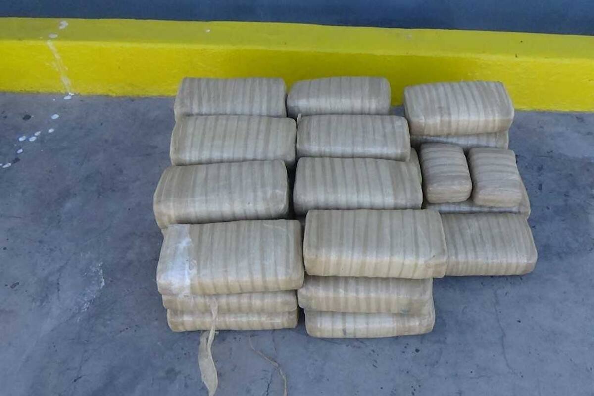 EU decomisa 9 toneladas de cocaína y marihuana en el Caribe y el Pacífico