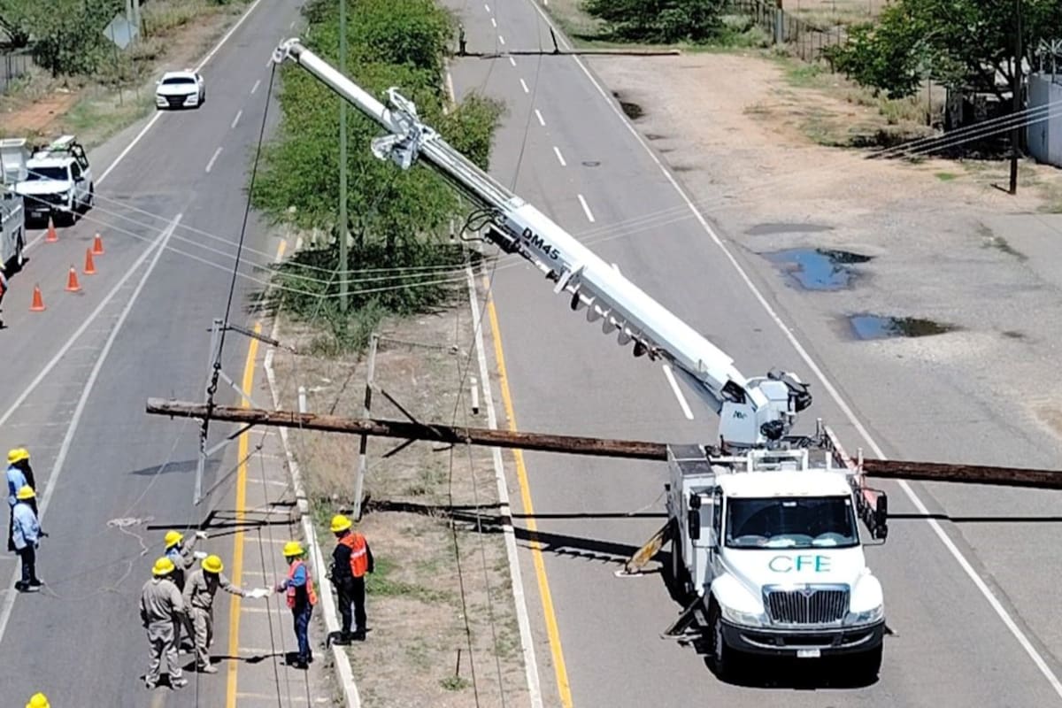 Gobierno de Hermosillo mantiene activo operativo de emergencia para atender más de 11 reportes por árboles caídos y daños estructurales tras las lluvias