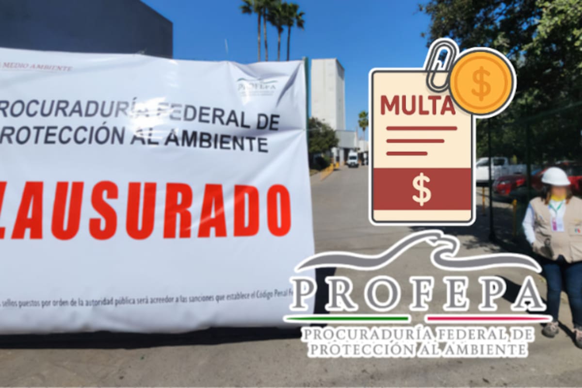 Profepa sanciona con más de 83,000,000 de pesos a Zinc Nacional y obliga a reparar daños ambientales