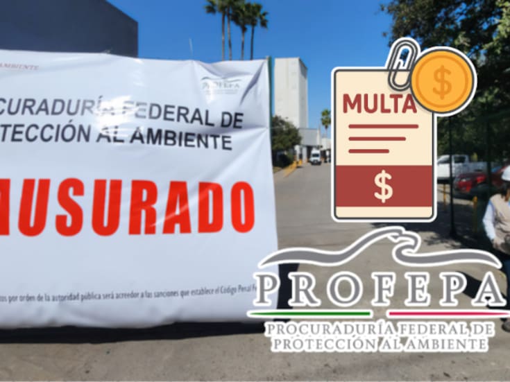 Profepa sanciona con más de 83,000,000 de pesos a Zinc Nacional y obliga a reparar daños ambientales