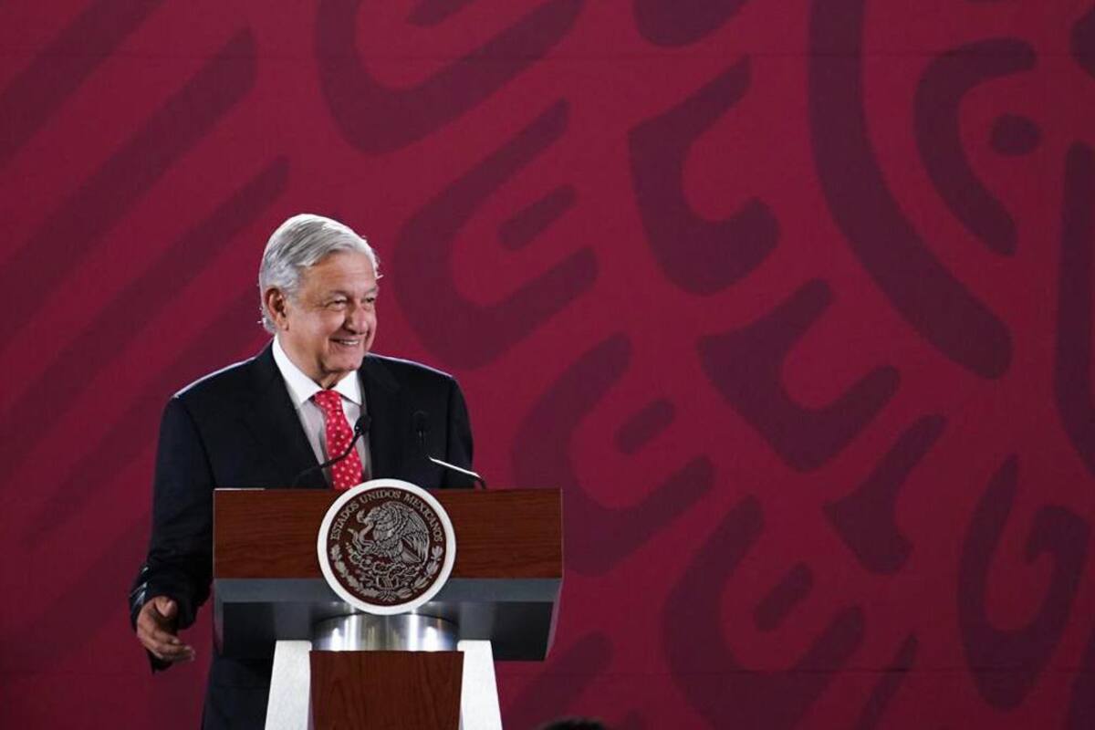 Gatos de Palacio Nacional no desaparecerán: AMLO