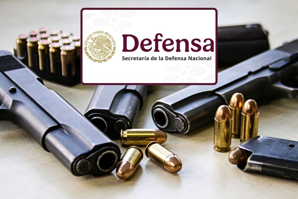 Perfila Defensa depurar trámites para registro de armas