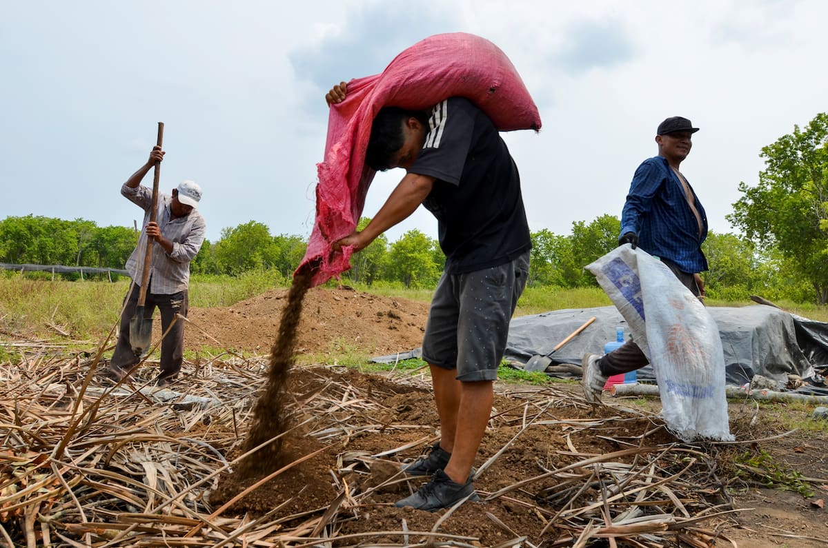 Foto de archivo. Migrantes centroamericanos trabajan en un abono para crear material orgánico que se utilizará como fertilizante para plantas, como parte del programa "Sembrando Vida" de la administración del presidente mexicano Andrés Manuel López Obrador, en el Centro de Jardinería Forestal en Tapachula, Chiapas. México, 21 de abril de 2021. REUTERS/Jose Torres