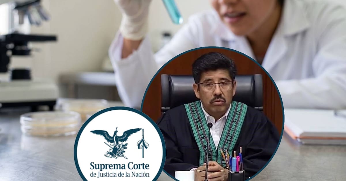 SCJN validó la Ley de Ciencias y ahora restringirán apoyos económicos del Sistema de Investigadores a privados