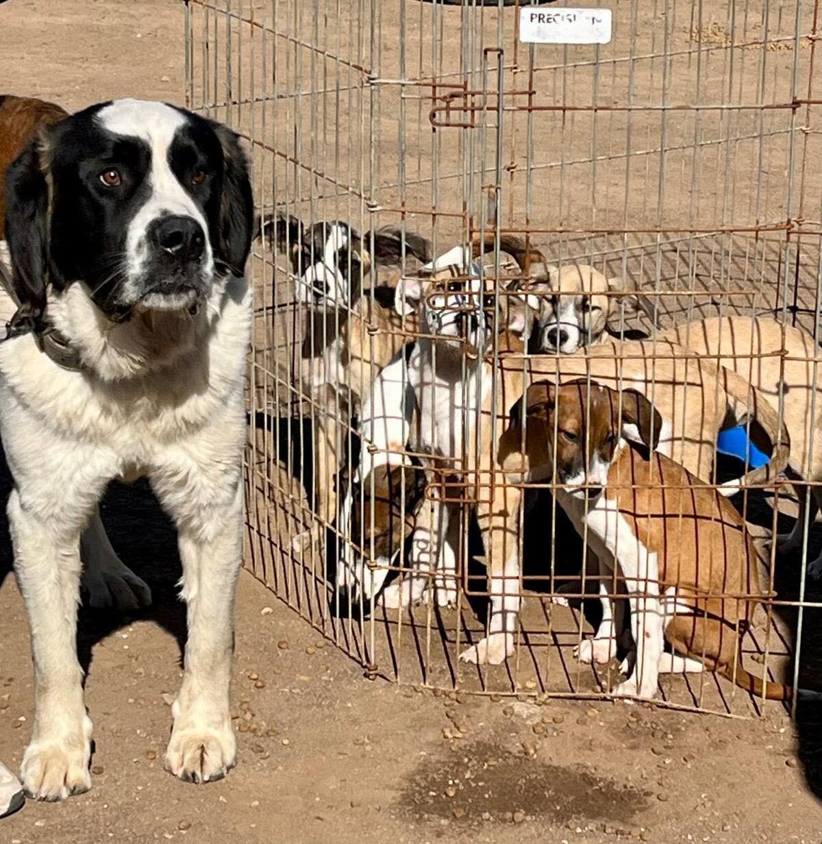 Foto: Carmen Gutiérrez