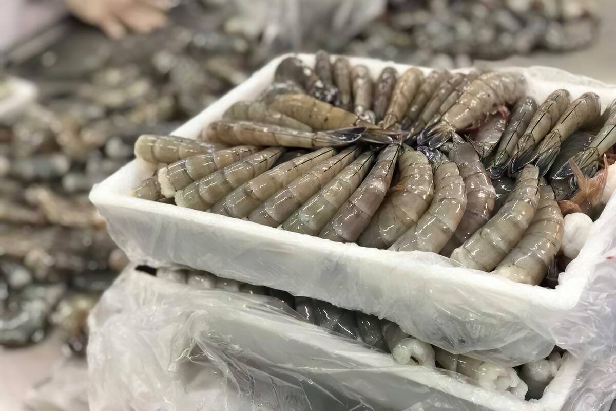 Gobierno de México solicita a Estados Unidos exentar del embargo a la pesca ribereña de camarón
