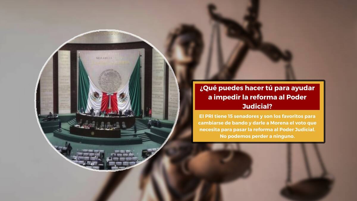 ¿Qué puedes hacer como ciudadano para detener la reforma al Poder Judicial? Proponen esto en redes sociales. Foto: Especial