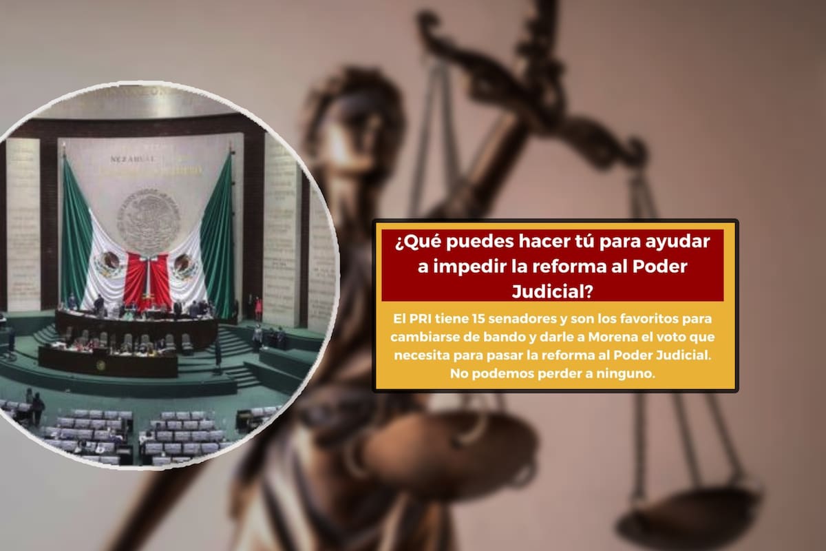 ¿Puedes como ciudadano ayudar a frenar la reforma al Poder Judicial? Abogada propone hacer esto en redes sociales