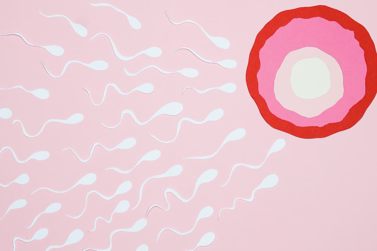 El esperma masculino envejece: cómo la edad del padre puede afectar la genética de sus hijos