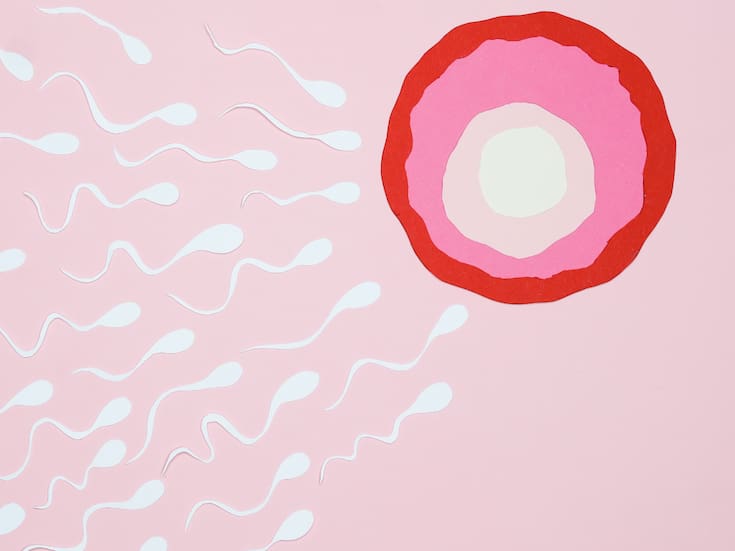 El esperma masculino envejece: cómo la edad del padre puede afectar la genética de sus hijos