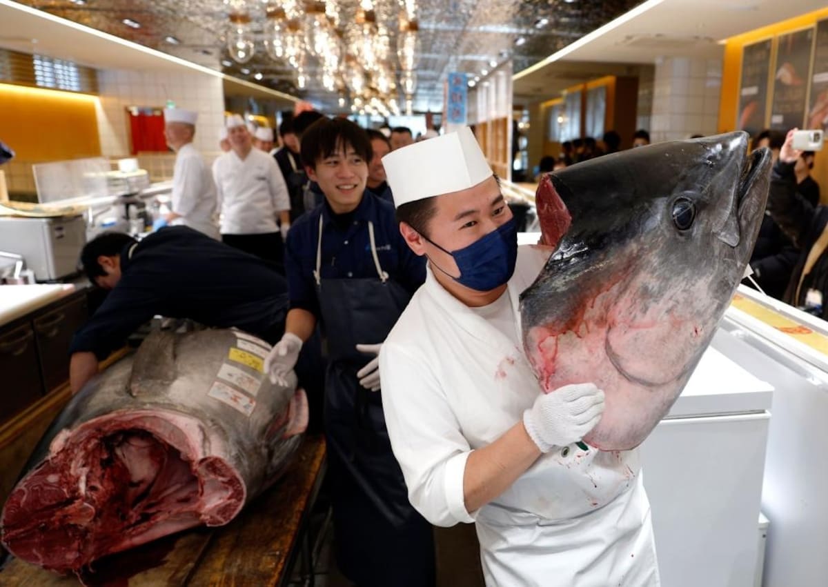 Grupo Onodera compra atún de 1.3 millones de dólares en la subasta de Año Nuevo de Tokio. | Crédito: FRANCK ROBICHON/EPA-EFE/Shutterstock