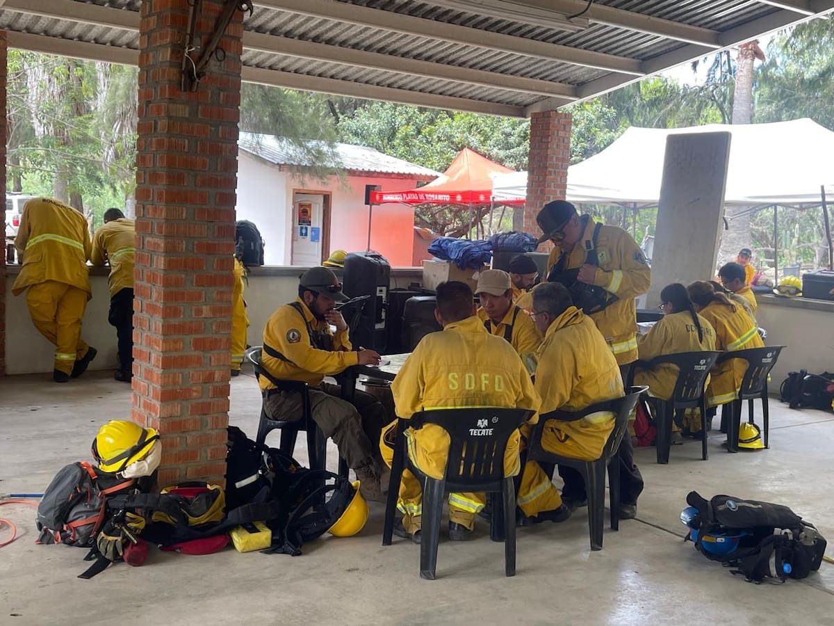 Esto les permitiría ser más eficientes al momento de enfrentar estos voraces incendios. Foto: Carmen Gutiérrez