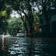 Fuertes lluvias para el jueves y viernes en estas ciudades
