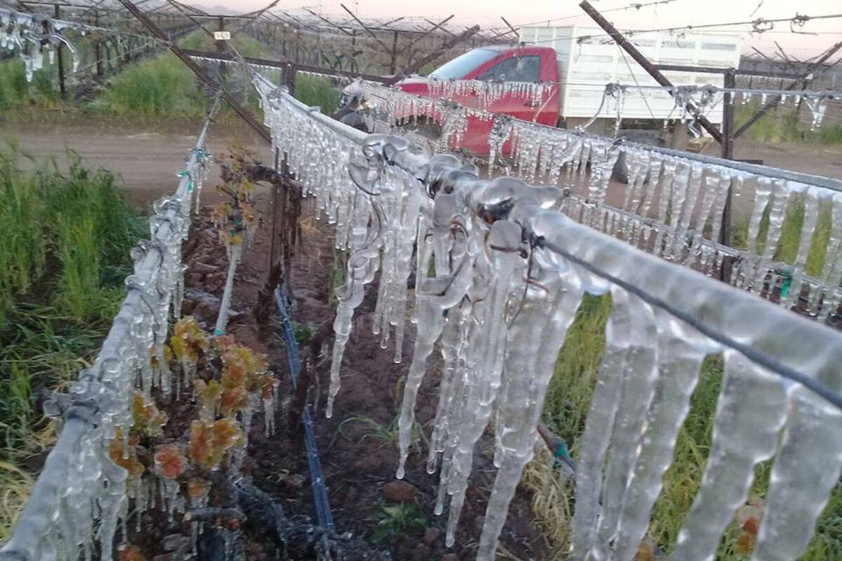 Clima en México: Prevén heladas y aguanieve al Noreste de México
