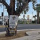 Memorial de Personas Desaparecidas en Mexicali podría iniciar construcción en enero