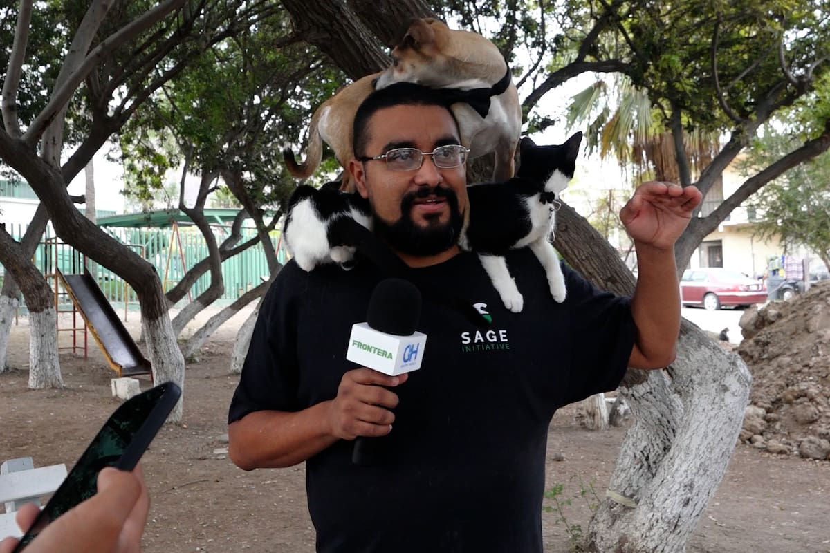 Dulces y mascotas: la ruta de Mi Manada