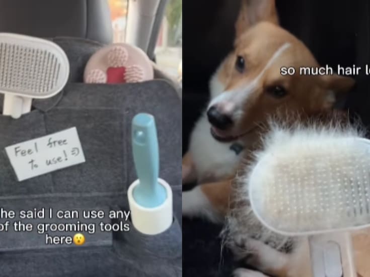 Uber pet friendly: Así funcionan estos viajes; usuario lo prueba con su mascota.