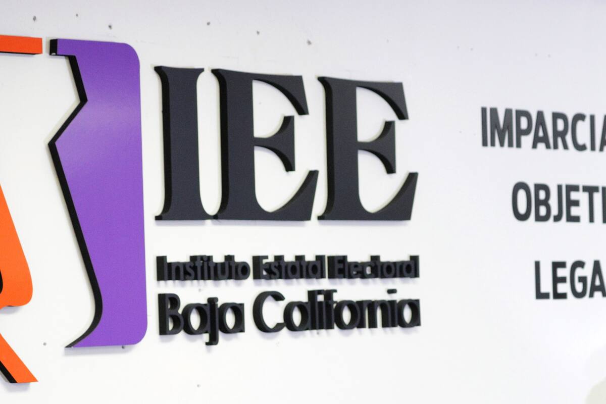 Modificará INE forma de trabajo tras contingencia