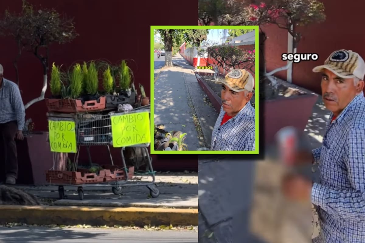 Hombre intercambia sus plantas por comida en lugar de venderlas y se vuelve viral