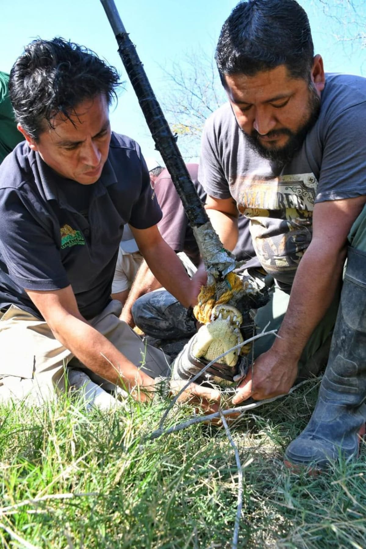 Gobierno de Tamaulipas.