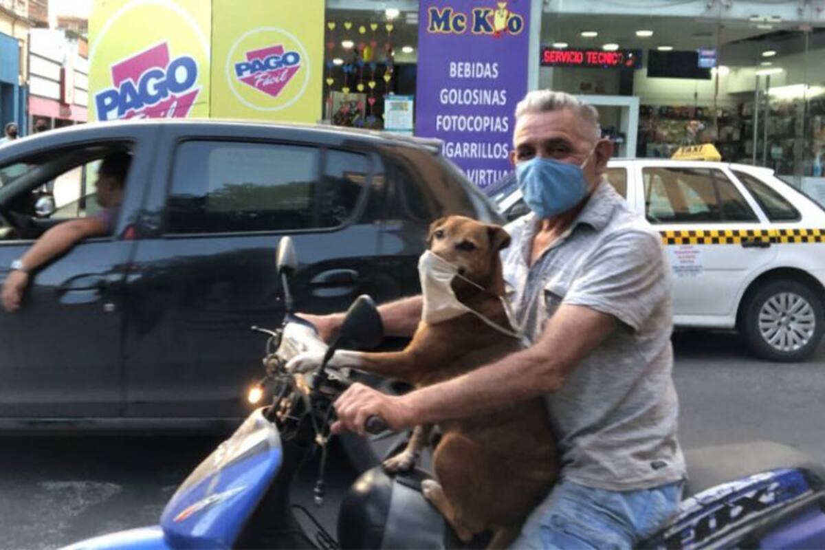 La adorable postal de un perro con cubrebocas andando en moto con su dueño
