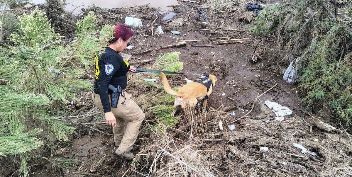 En el operativo participan elementos de la Secretaría de la Defensa Nacional (Sedena), a través de la Guarnición de El Ciprés. Foto: Cortesía