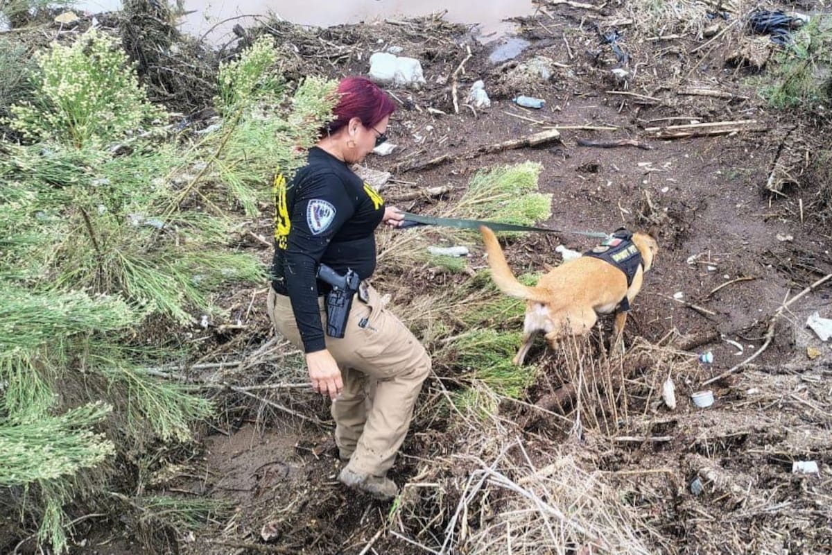 Localizan a tres personas sin vida tras lluvias en Ensenada