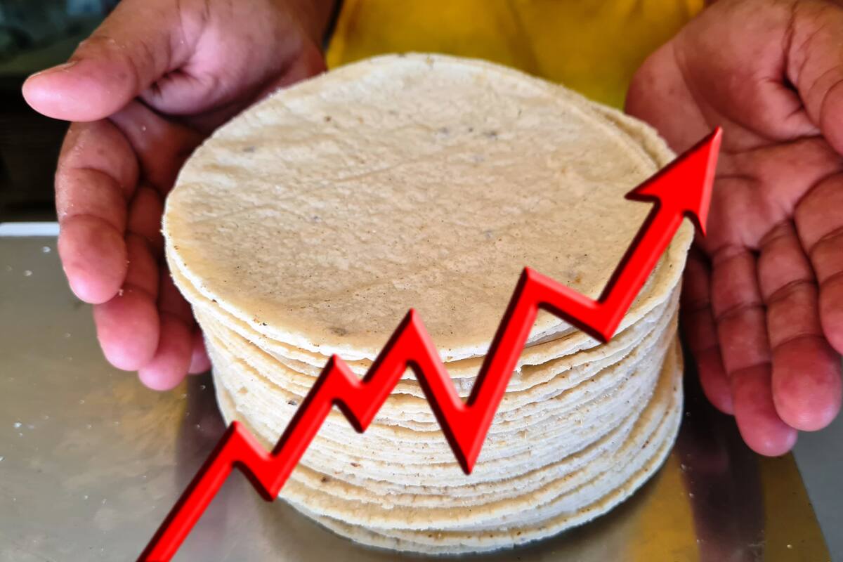 ¿Por qué la tortilla subirá de precio en México? CNT lo explica